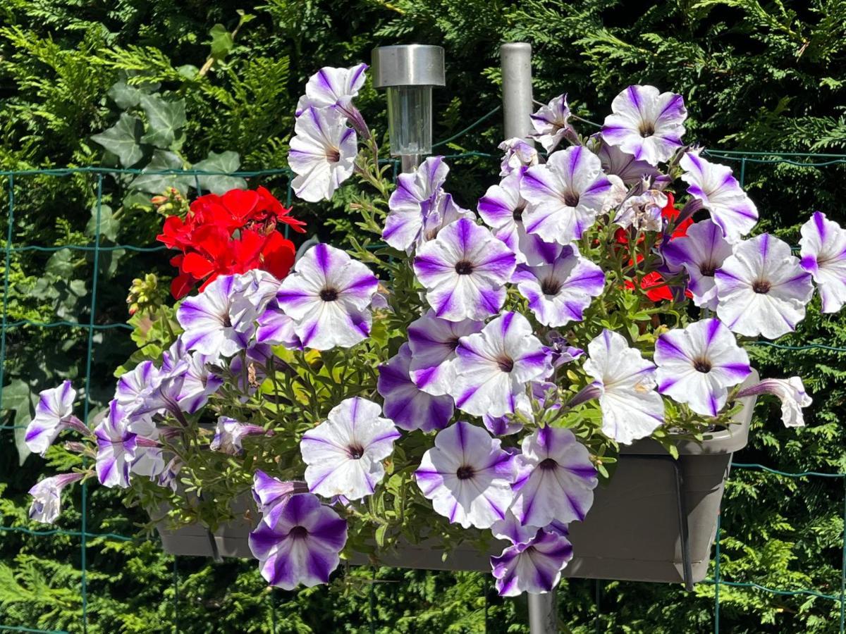 شقة Les Floralies Froberville المظهر الخارجي الصورة